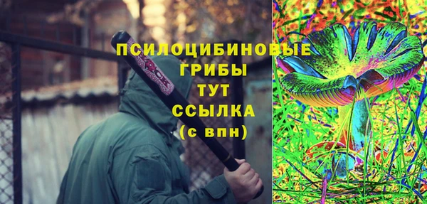 2c-b Белоозёрский