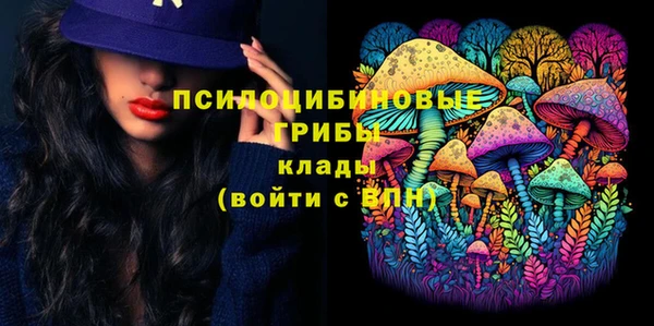 мдма Белокуриха