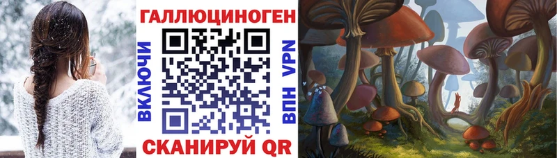 купить закладку  даркнет наркотические препараты  Псилоцибиновые грибы MAGIC MUSHROOMS  Ува 